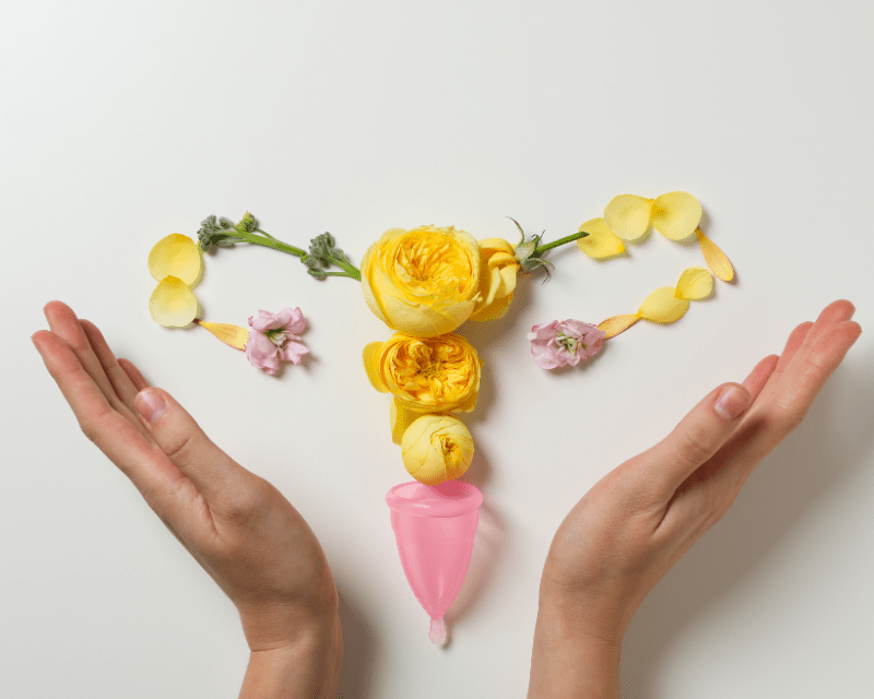 Womens fertility health