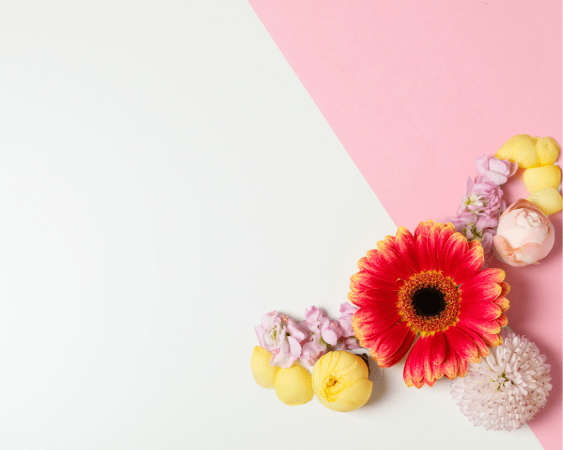 Understanding Your Fertility Window: Timing is Everything